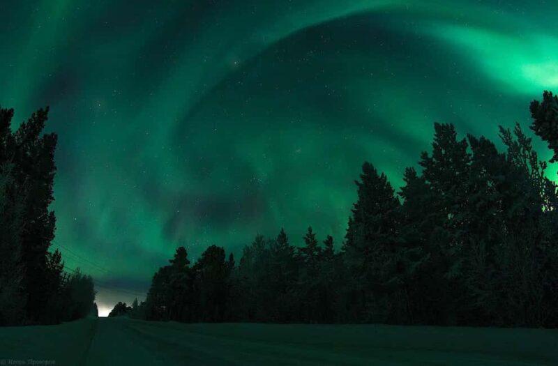 Rovaniemi: All-Inclusive Ranua Zoo Excursion & Aurora Dinner - Explore Arctic Wildlife at Ranua Zoo