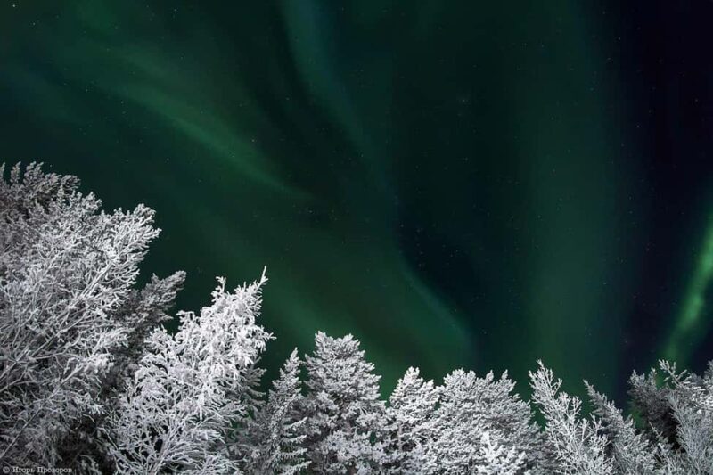 Rovaniemi: All-Inclusive Ranua Zoo Excursion & Aurora Dinner - Prime Northern Lights Hunting Locations