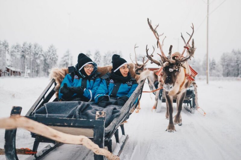 Rovaniemi: Apukka Reindeer Journey - Meeting Point at Apukka Resort and Transport Options