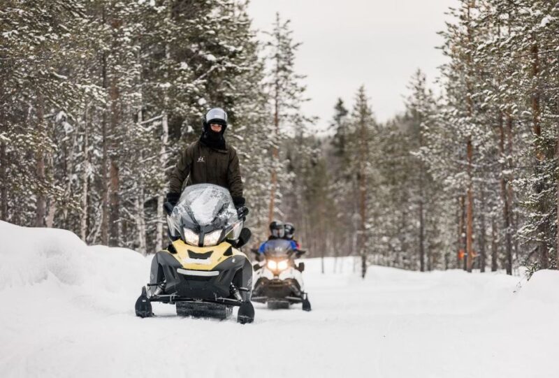 Rovaniemi: Arctic Circle Family-Friendly Snowmobile Tour - The Snowmobile Experience in Snowy Forest Trails