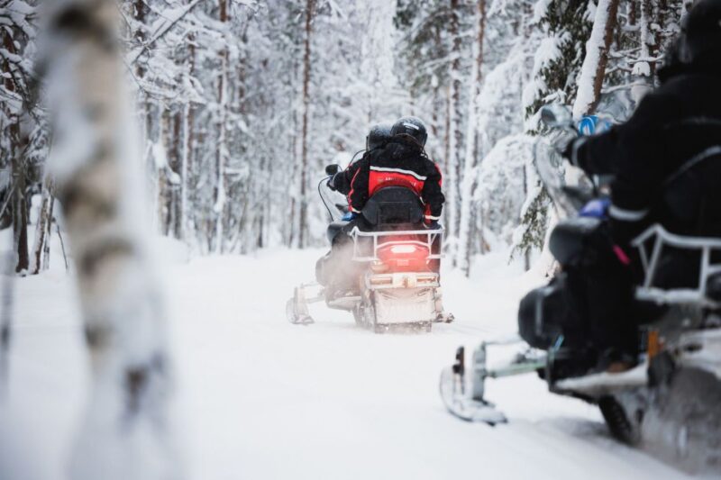 Rovaniemi: Arctic Circle Highlights by Snowmobile - Huskies in Action: Meeting the Alaskan Huskies