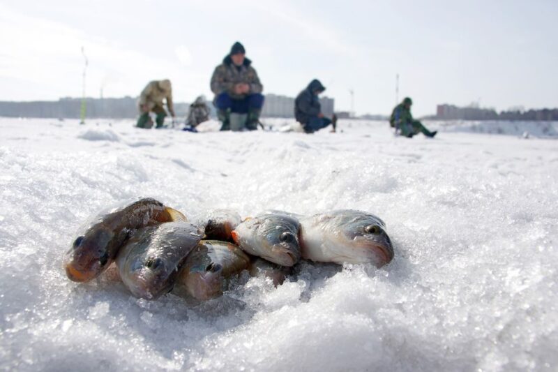 Rovaniemi: Arctic Circle Ice Fishing Experience - Accessibility and Physical Requirements