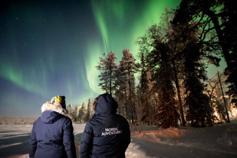 Rovaniemi: Arctic Ice Floating and Northern Lights Tour - The Safety and Expertise of Nordic Adventures Guides