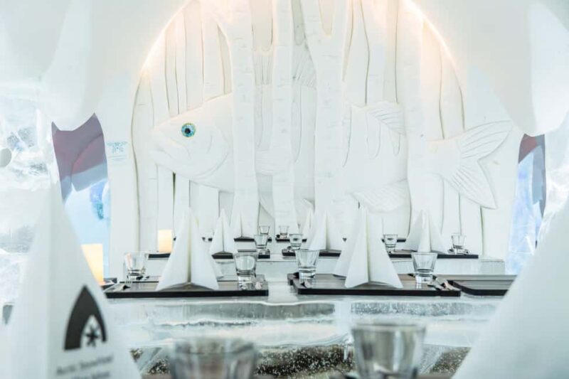 Rovaniemi: Arctic SnowHotel Tour and Dinner with Transfers - Visitor Feedback: Strengths and Minor Drawbacks