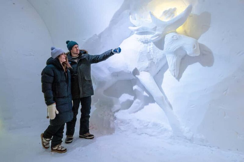 Rovaniemi: Arctic SnowHotel Tour - What Makes This Tour Stand Out?