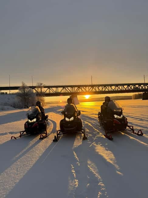 Rovaniemi: Arctic Snowmobiling Ride with Local Guide - Key Points