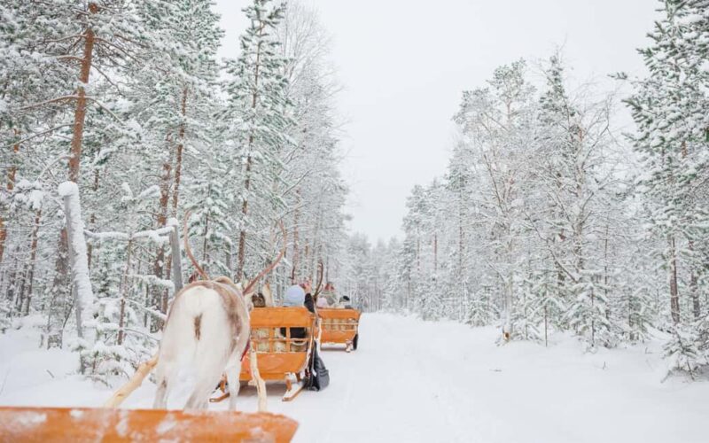 Rovaniemi: Arctic TreeHouse Experiences Reindeer Expedition - Rovaniemi: Arctic TreeHouse Experiences Reindeer Expedition