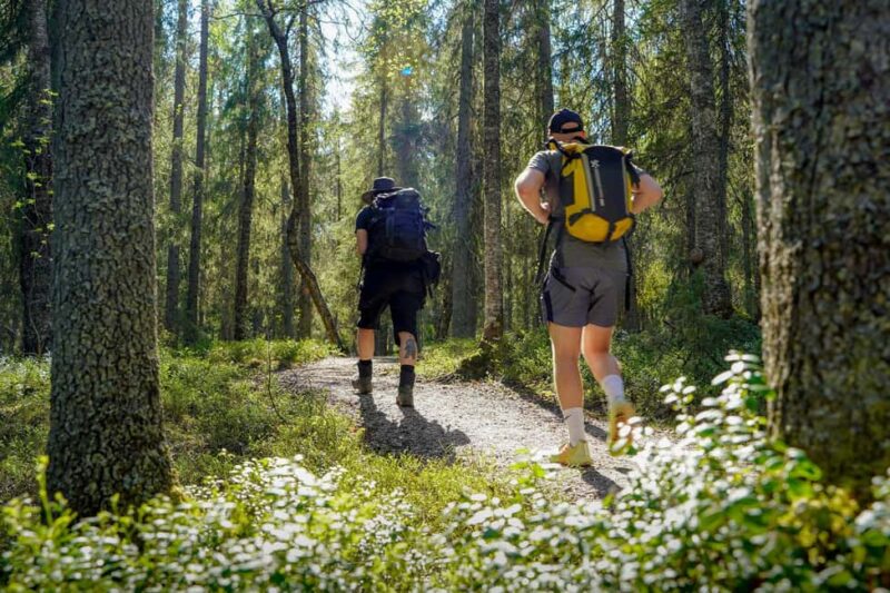 Rovaniemi: Arctic Wilderness Hike with Fire-Making - All day - Key Points