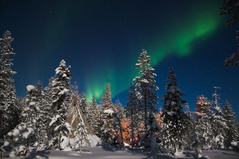 Rovaniemi: Aurora Borealis and Picnic - Key Points