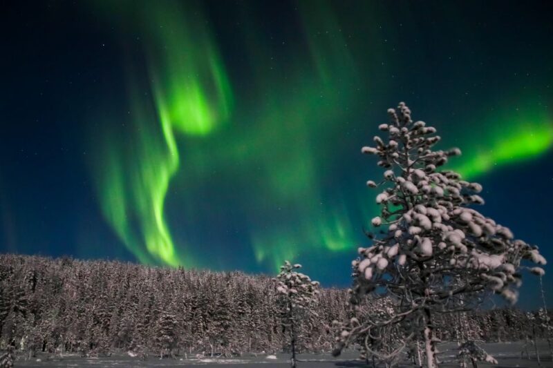 Rovaniemi: Aurora Borealis and Picnic - The Finnish Picnic: Sausages, Pastries, and Hot Drinks