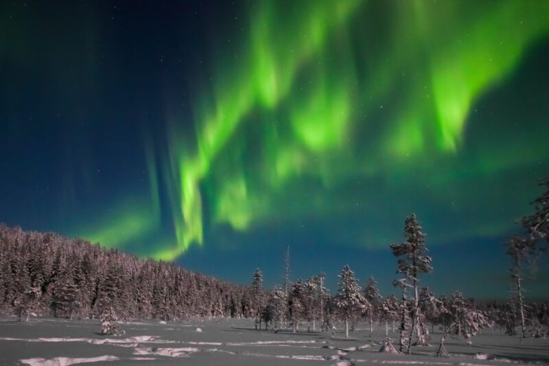 Rovaniemi: Aurora Borealis and Picnic - The Experience for Families and Night Owls