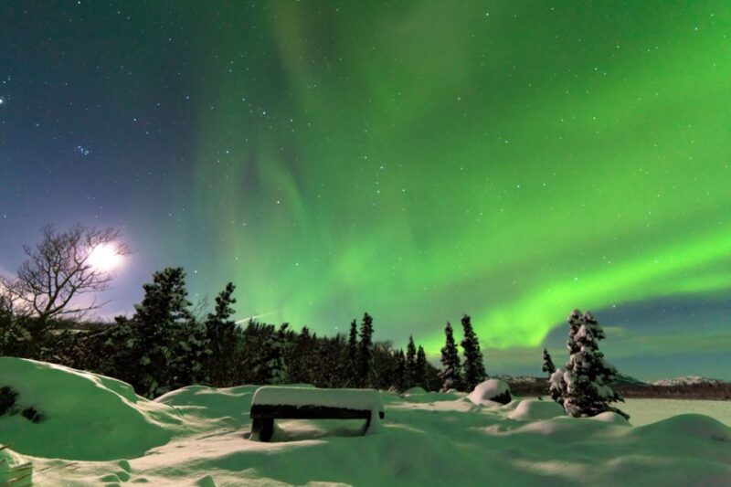 Rovaniemi: Aurora Borealis Snowmobile Safari with Campfire - Key Points