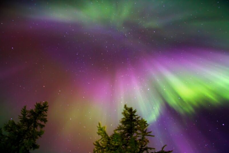 Rovaniemi: Aurora Borealis Snowmobile Safari with Campfire - Guides, Service, and Overall Atmosphere