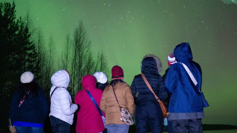 Rovaniemi: Aurora hunting and a fireside BBQ experience - Stories, Legends, and Sami Culture