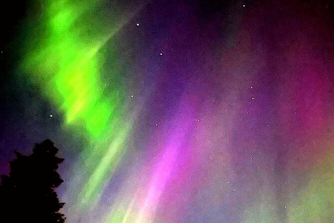 Rovaniemi: Aurora Hunting & Photography Tour - Key Points