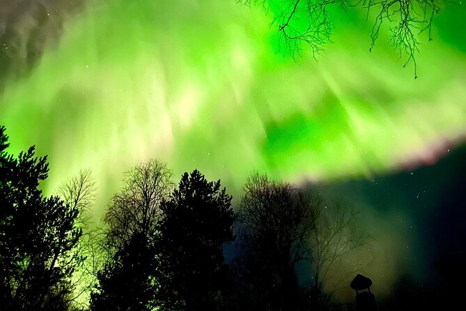 Rovaniemi: Aurora Hunting & Photography Tour - Comparing the Tour to Similar Aurora Experiences