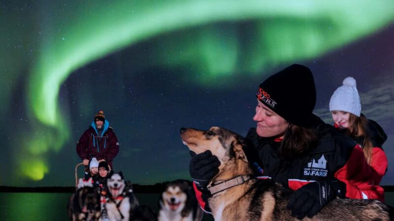 Rovaniemi: Aurora Husky Safari Through the Forest - Rovaniemi: Aurora Husky Safari Through the Forest