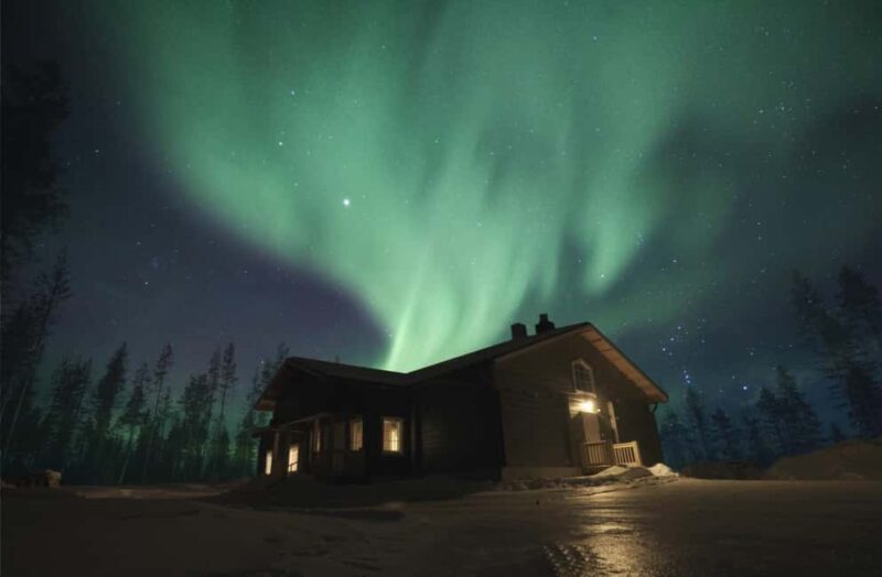 Rovaniemi: Aurora Husky Safari Through the Forest - Key Points