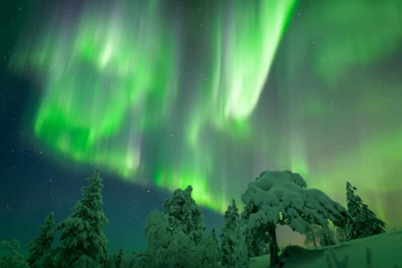 Rovaniemi: Auroras Northern Lights Trip - guaranteed lights - Key Points