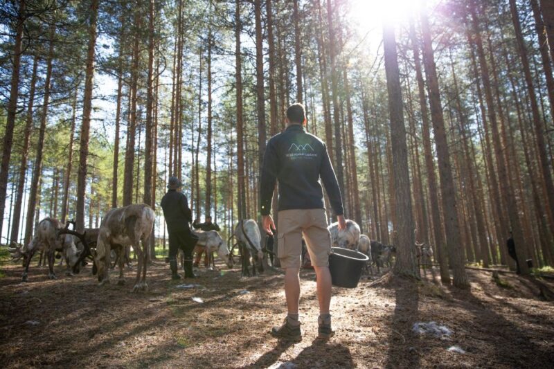 Rovaniemi: Authentic Reindeer Farm & Canoeing - Who Will Enjoy This Experience the Most