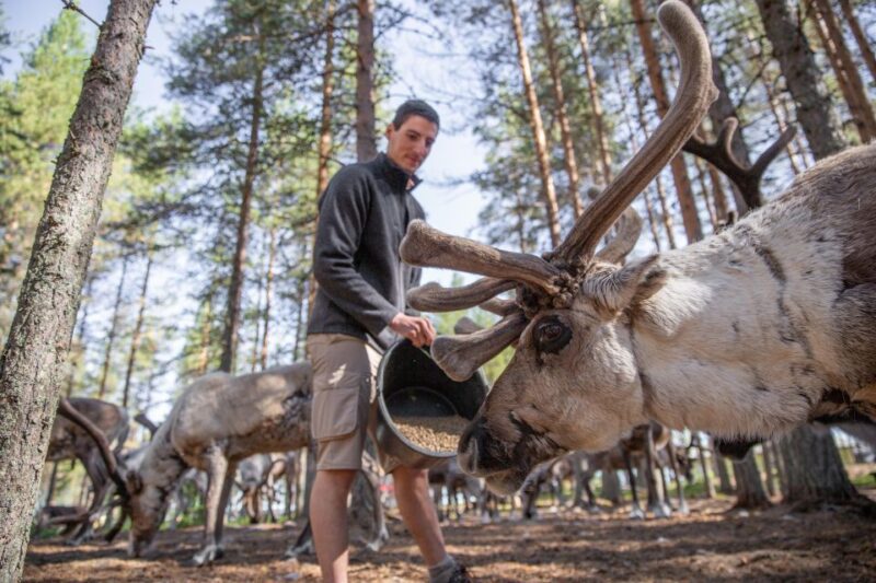 Rovaniemi: Authentic Reindeer Farm & Canoeing - Final Thoughts on Rovaniemi’s Reindeer & Canoeing Tour