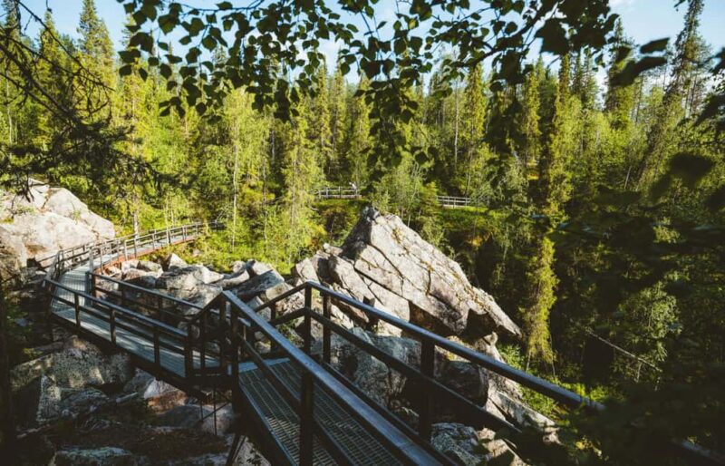 Rovaniemi: Auttiköngäs Waterfall Hike & Wilderness BBQ - Inclusions, Flexibility, and Cancellation Policies
