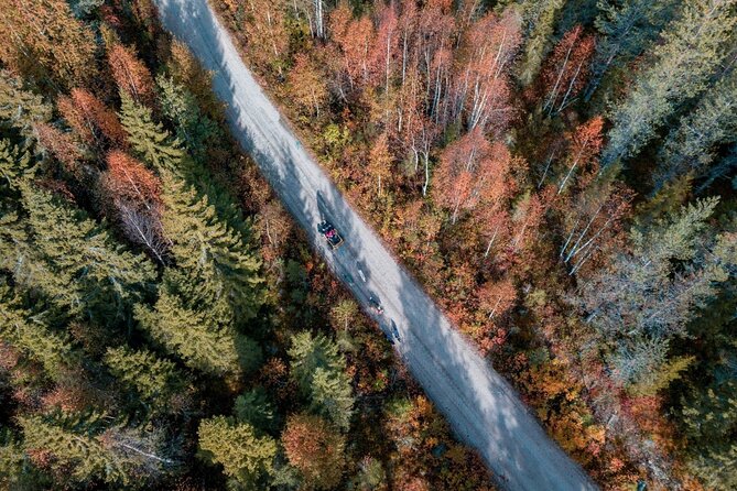 Rovaniemi Autumn Husky Safari & BBQ 610 km SelfDrive - The Cozy Lapland BBQ at the End of the Journey