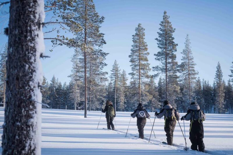 Rovaniemi: Backcountry Skiing Adventure - Key Points