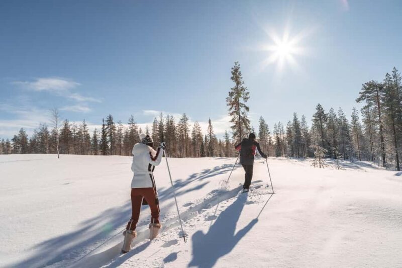 Rovaniemi: Backcountry Skiing Adventure - Exploring Rovaniemi’s Wilderness on Backcountry Skis