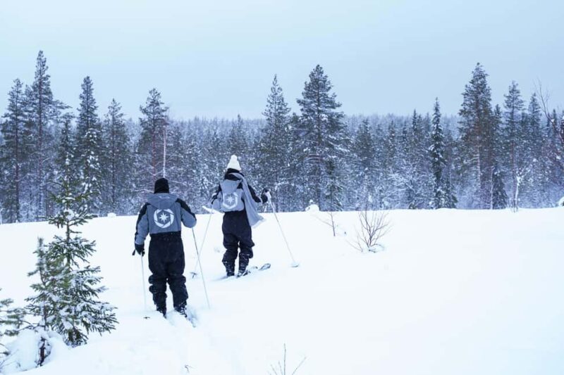 Rovaniemi: Backcountry Skiing Adventure - Logistics and Practical Details for a Smooth Experience