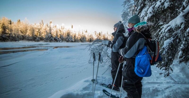 Rovaniemi: Backcountry Skiing Adventure - Price, Cancellation, and Booking Flexibility