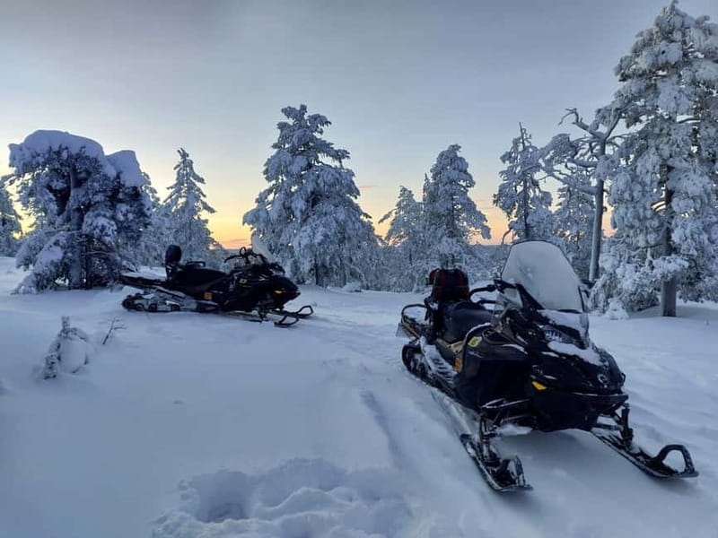 Rovaniemi: Backwoods Adventure Full Day Snowmobile Safari - Key Points