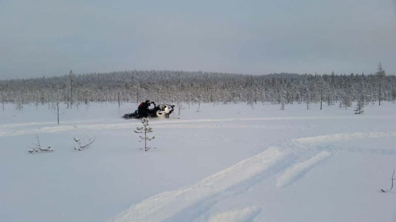 Rovaniemi: Backwoods Adventure Full Day Snowmobile Safari - Exploring the Snowmobile Experience in Lapland
