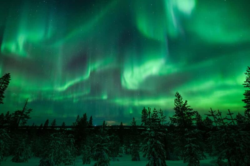 Rovaniemi: Best & Original Aurora Experience with Pro Photos - The Small Group Advantage and Personalized Experience