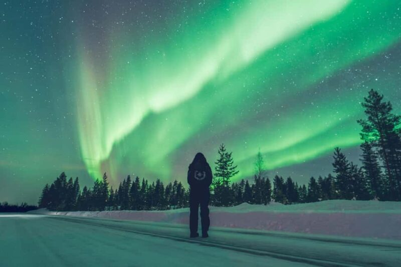 Rovaniemi: Best & Original Aurora Experience with Pro Photos - Logistics and Comfort During the Tour