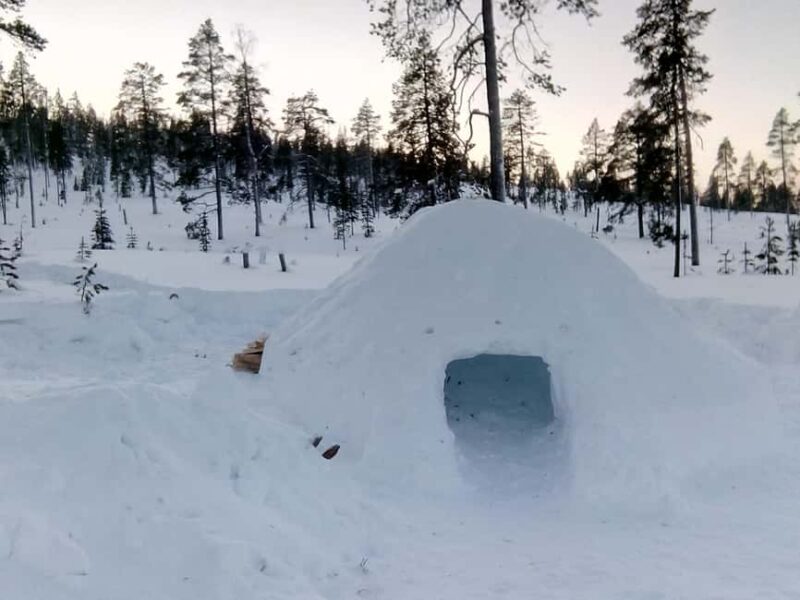 Rovaniemi: Building a Snow Igloo - Guided Tour of the Snowy Wilderness and Local Landscape