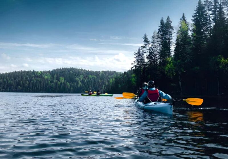 Rovaniemi: Canoeing Adventure on Laplands Lakes & BBQ - Logistics: What You Need to Know
