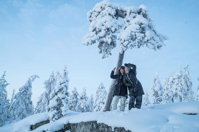 Rovaniemi City Photography Tour - Capture Rovaniemi’s Iconic Landmarks with a Professional Photographer