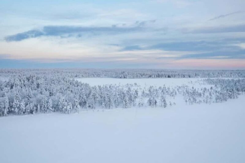 Rovaniemi: Cross-Country Skiing Adventure with Guide -  