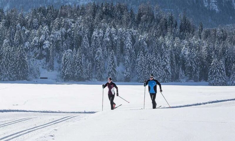 Rovaniemi: Cross Country Wilderness Ski Adventure - Key Points