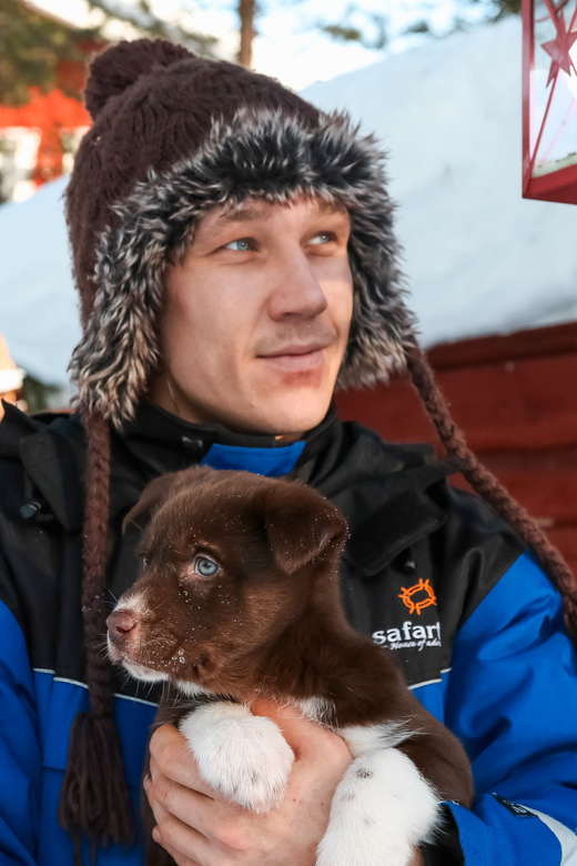 Rovaniemi: Daytime Husky Safari - Meeting Point and Logistics in Rovaniemi