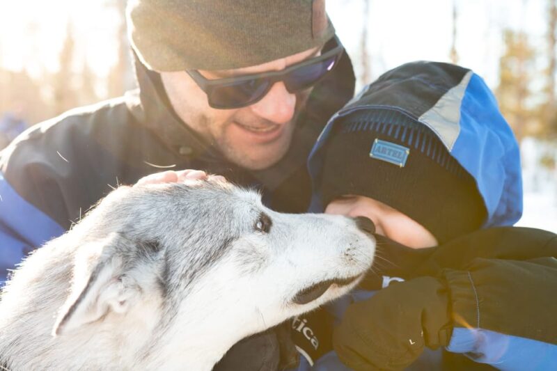 Rovaniemi: Daytime Husky Safari - Guides and Personal Attention