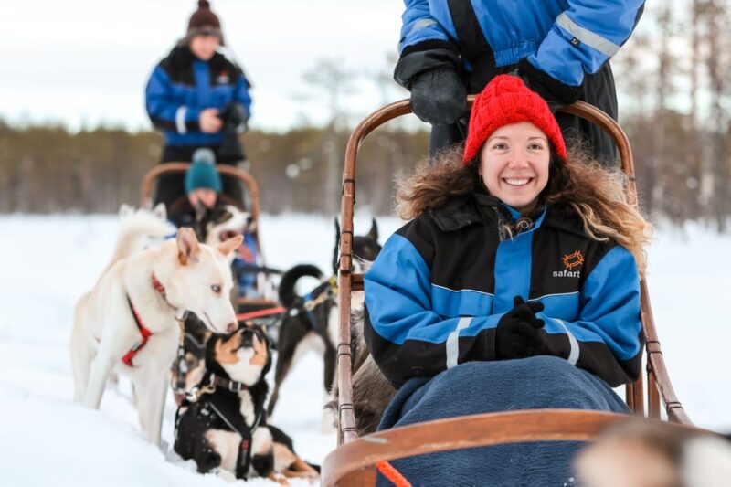 Rovaniemi: Daytime Husky Safari - Who Will Love This Adventure?