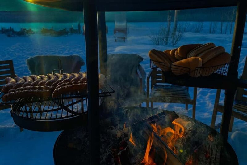 Rovaniemi: Drive New 2025 Snowmobiles - Aurora Adventure - Reviews and Overall Feedback