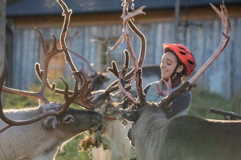 Rovaniemi: E-fatbike Trip to the Reindeer Farm - Starting Point and Tour Logistics in Rovaniemi