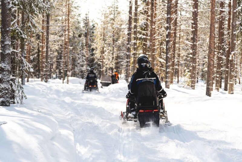 Rovaniemi: Easy Snowmobile Safari - Snowmobiling in Rovaniemi: A Scenic Arctic Forest Adventure