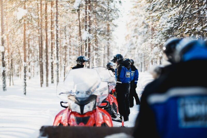 Rovaniemi: Easy Snowmobile Safari - Safety and Equipment Standards