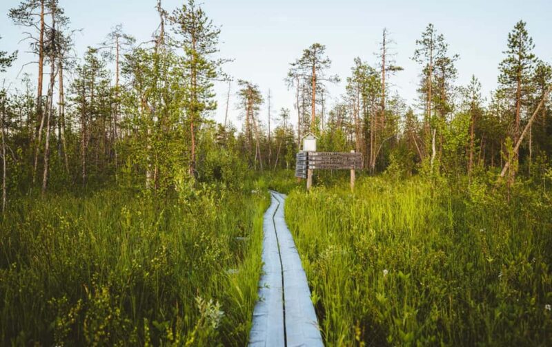 Rovaniemi: Electric Fatbike Rental with Helmet - Rovaniemi Electric Fatbike Rental: The Core Experience