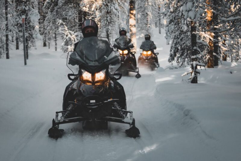 Rovaniemi: Electric Snowmobile Safari to Arctic Wilderness - Practical Logistics and Booking Flexibility