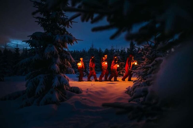 Rovaniemi: Enchanting Forest Lantern Walk with Santa's Elf - Key Points